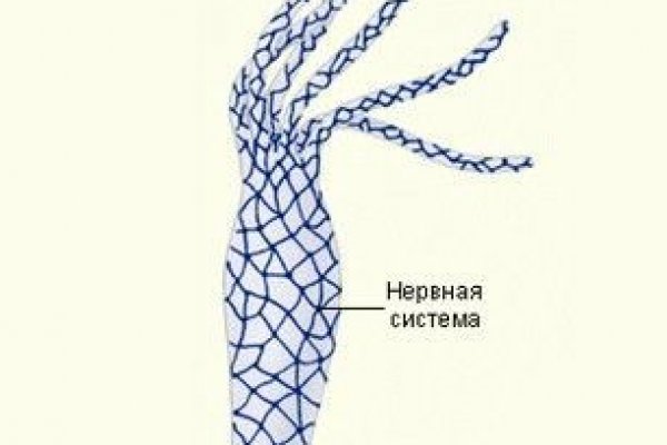 Как зайти на кракен в тор браузере